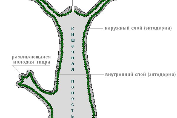 Войти на кракен