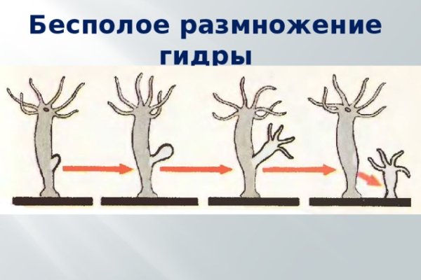 Через какой браузер можно зайти на кракен