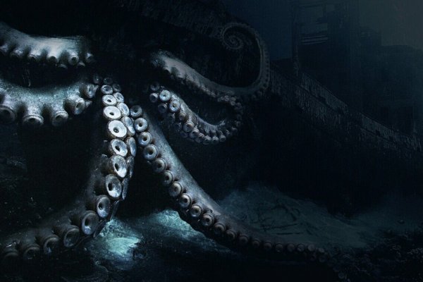 Kraken russia